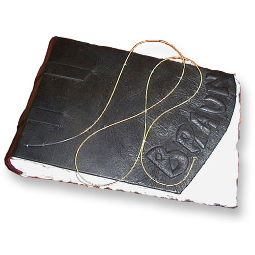 Guitar string looped on cover of custom black leather scrapbook with embossed name Braun