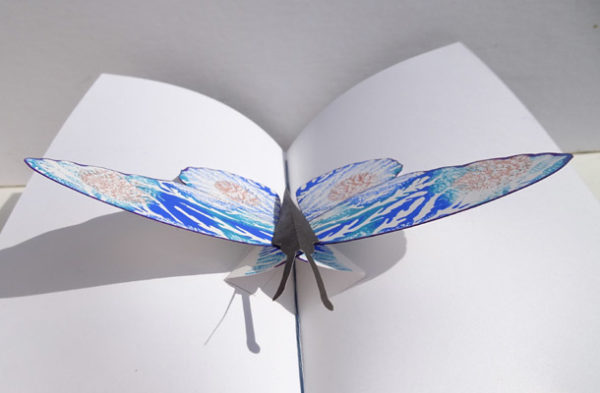Front view of Pop Up Butterfly inside book pages