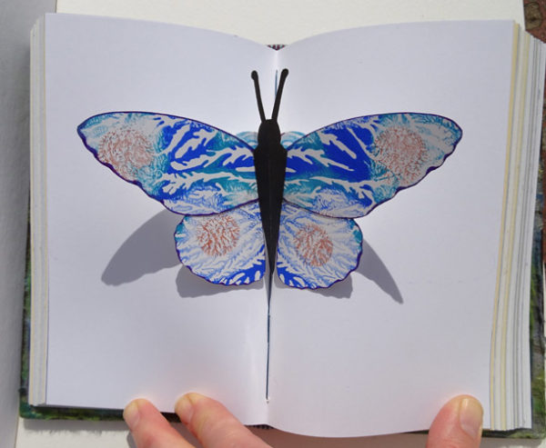 Pop Up Monoprint Painted Butterfly inside book