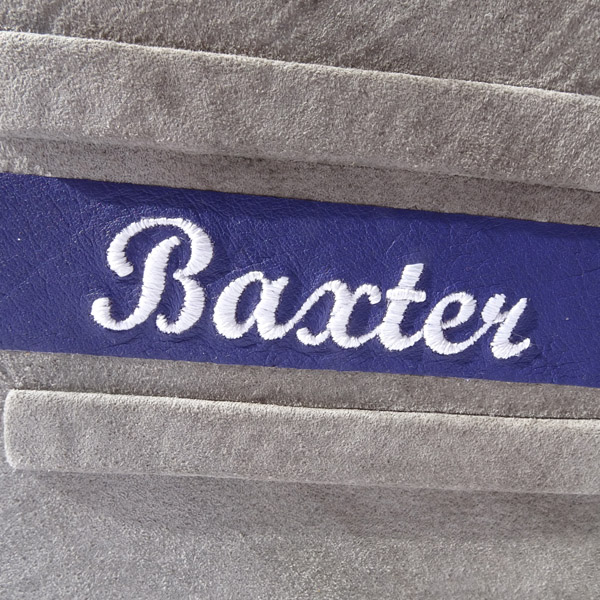 Embroidered name Baxter on on purple leather on back cover of gray suede pet album