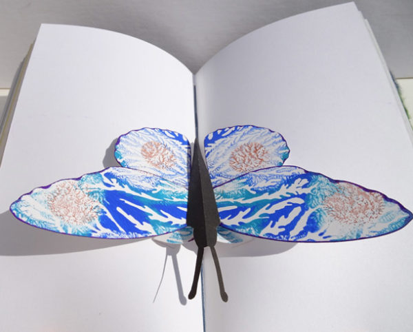 Handmade Pop-Up Painted Butterfly inside book pages