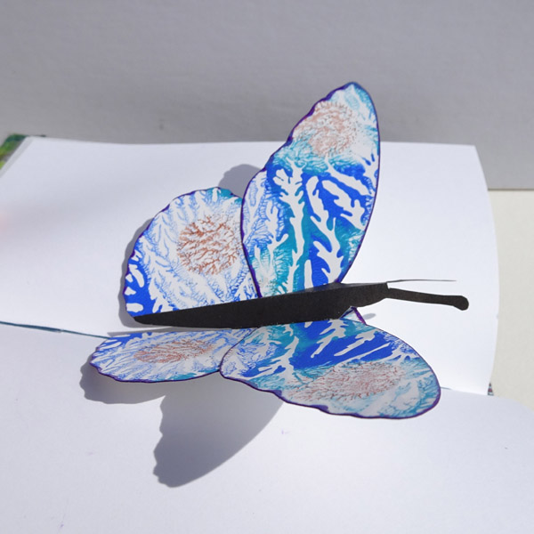 Pop-Up Butterfly inside book pages