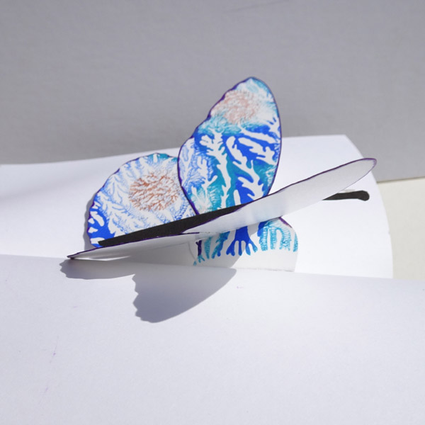 Side view of Pop Up Butterfly in book